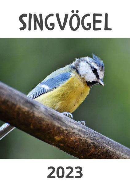 Cover von Singvögel 2023