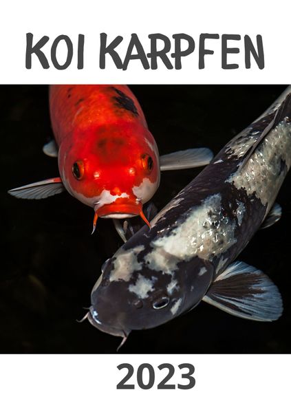 Cover von Koi Karpfen 2023