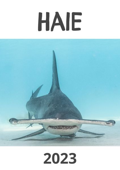 Cover von Haie 2023
