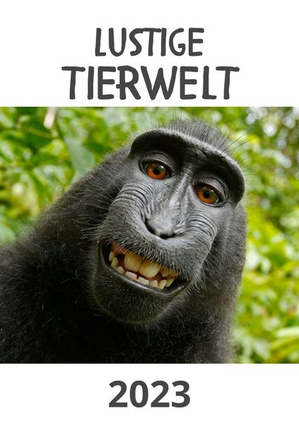 Cover von Lustige Tierwelt 2023