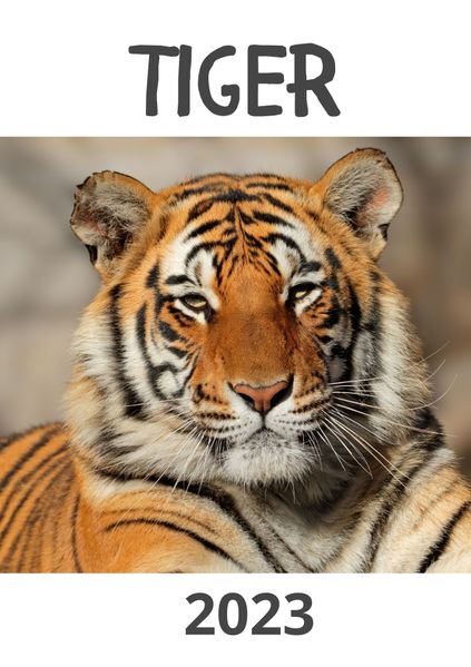 Cover von Tiger 2023