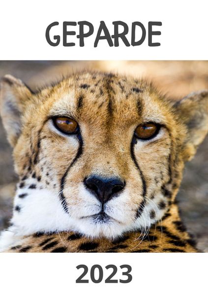 Cover von Geparde 2023