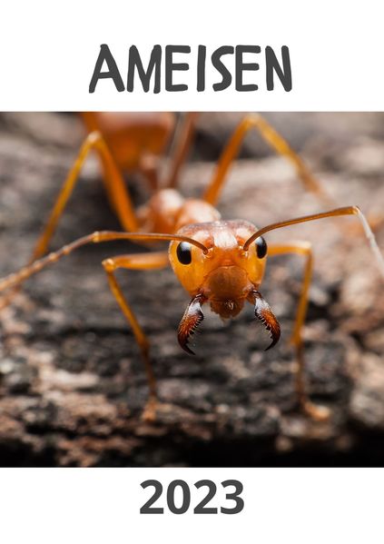 Cover von Ameisen 2023