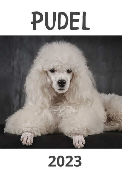 Cover von Pudel 2023