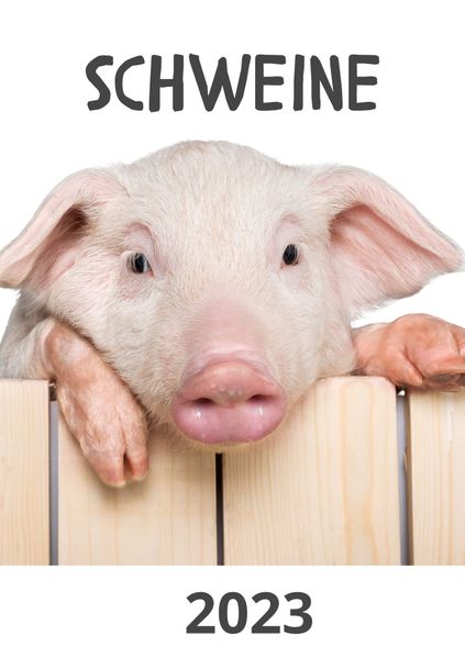 Cover von Schweine Kalender 2023