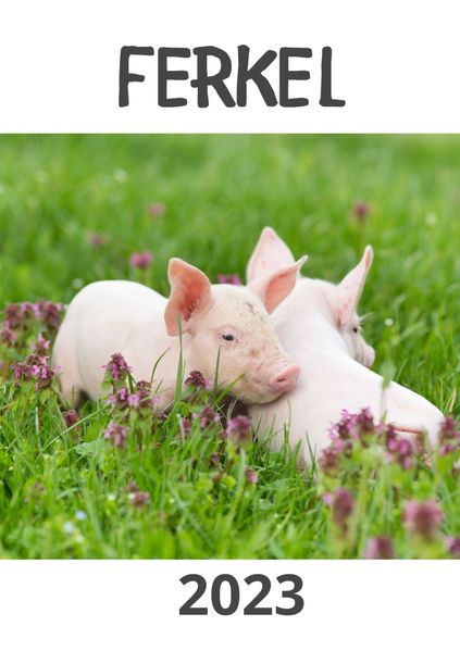 Cover von Ferkel 2023