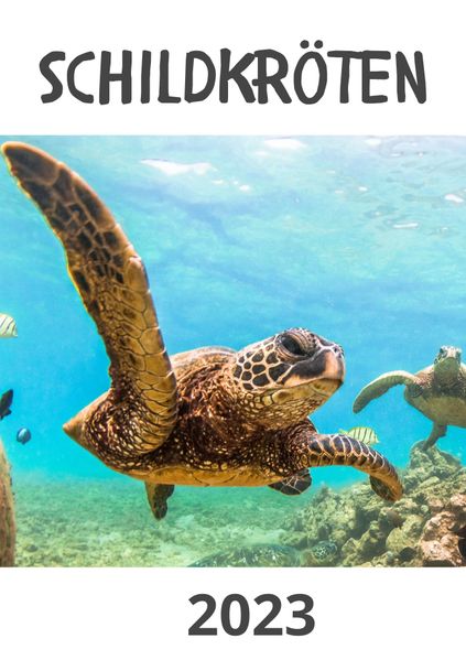 Cover von Schildkröten 2023