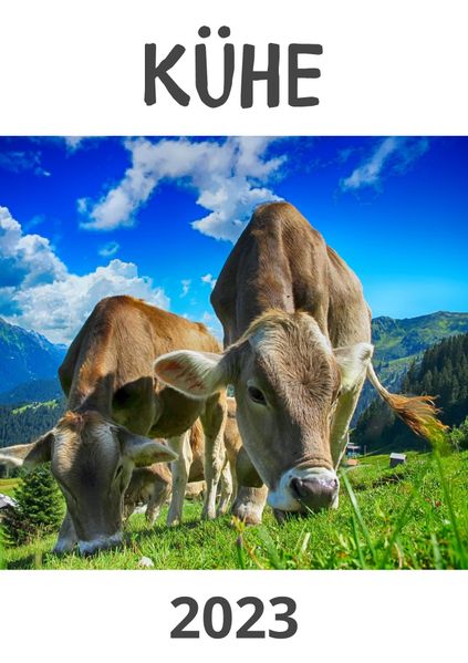 Cover von Kühe 2023
