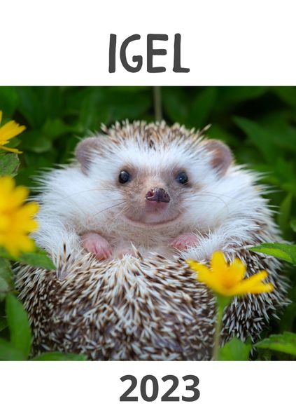Cover von Igel 2023