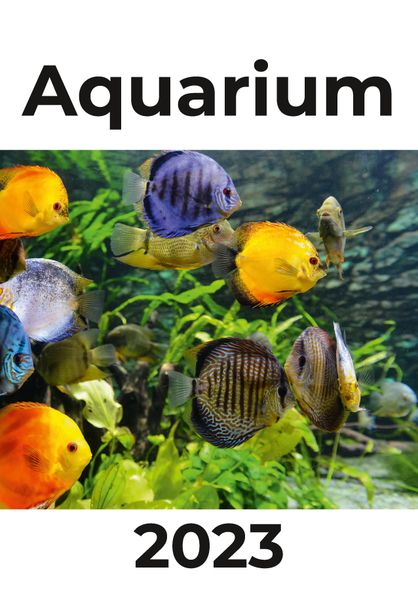 Cover von Aquarium 2023