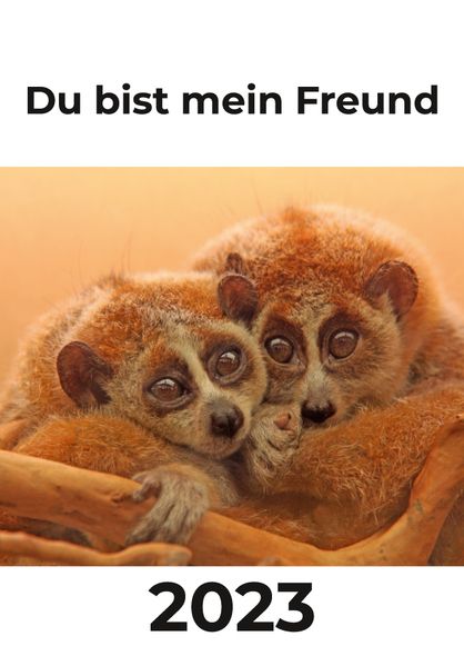 Cover von Du bist mein Freund 2023