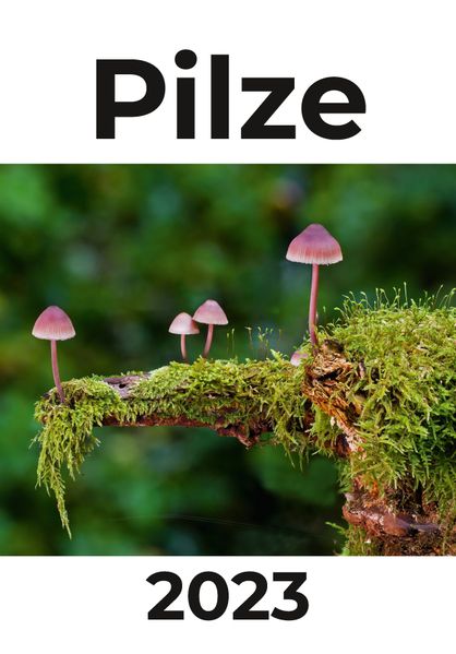 Cover von Pilze Kalender 2023