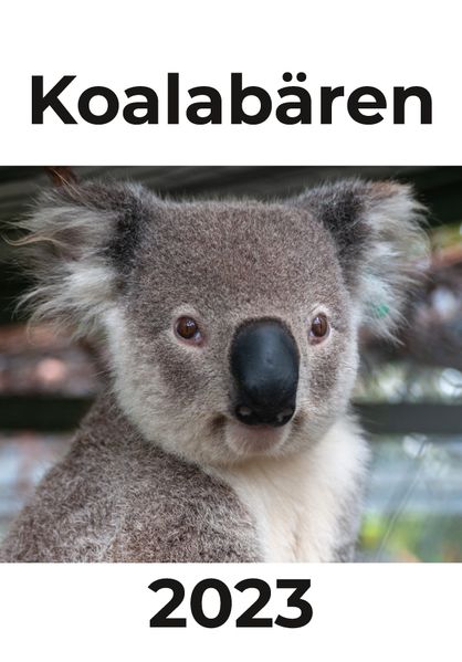 Cover von Koalabären Kalender 2023