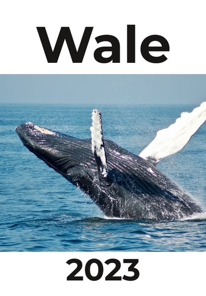 Cover von Wale 2023