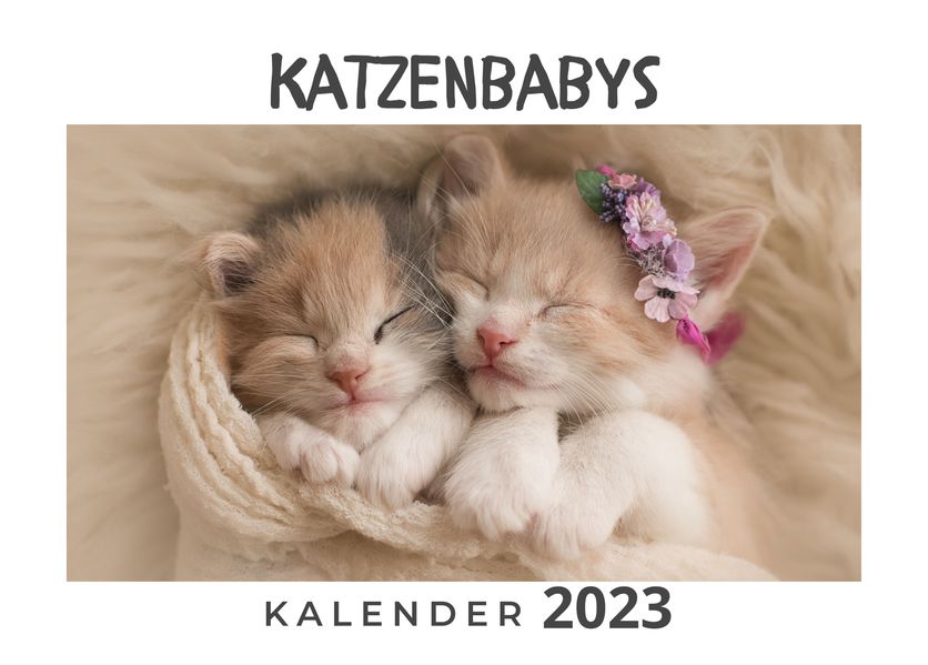 Cover von Katzenbabys