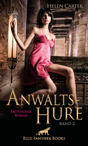 Cover von Anwaltshure Band 2 | Erotischer Roman