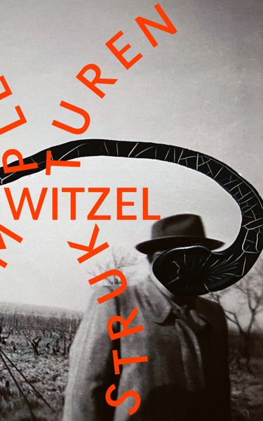 Cover von Komplexe Strukturen