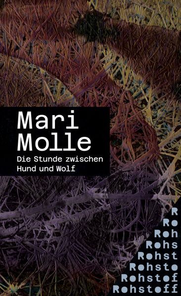 Cover von Die Stunde zwischen Hund und Wolf