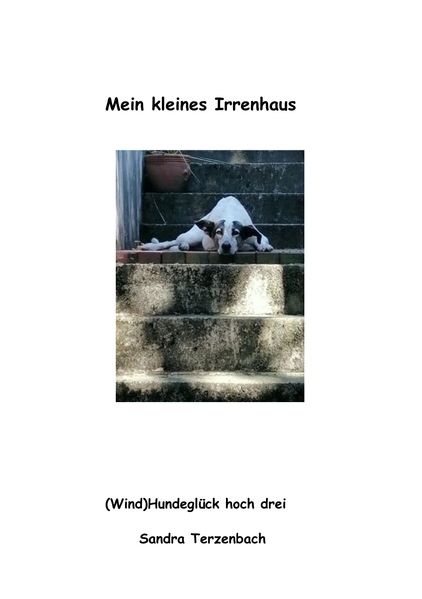 Cover von Mein kleines Irrenhaus