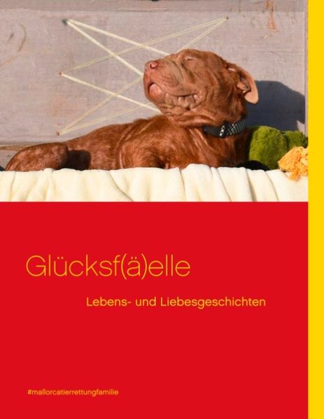 Cover von Glücksf(ä)elle