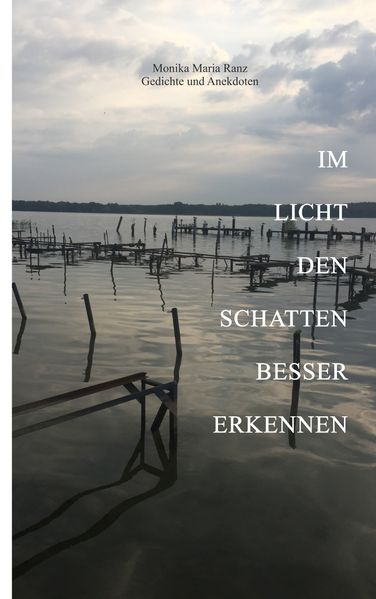 Cover von Im Licht den Schatten besser erkennen