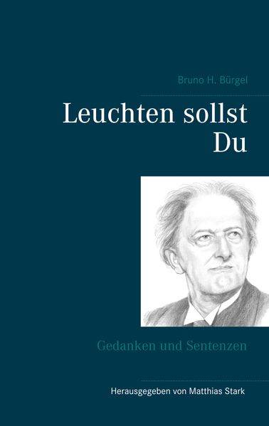 Cover von Leuchten sollst Du