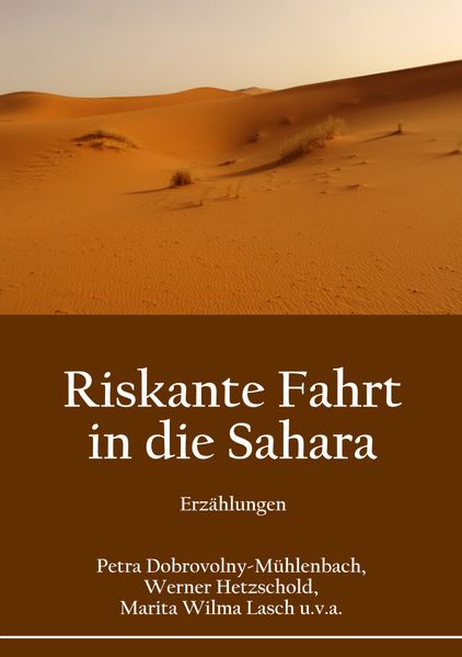 Cover von Riskante Fahrt in die Sahara