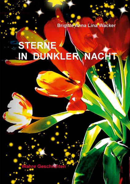 Cover von Sterne in dunkler Nacht