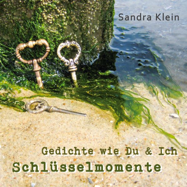 Cover von Schlüsselmomente