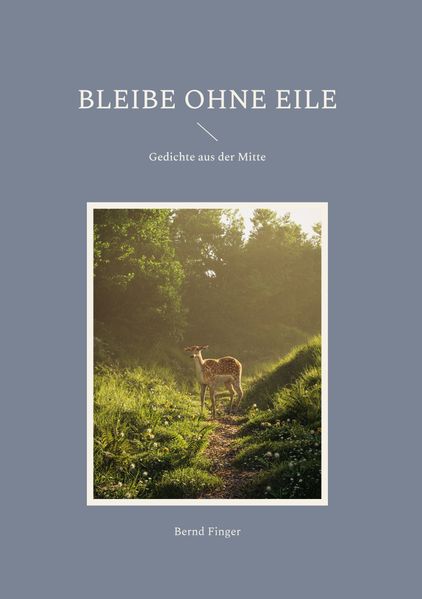 Cover von Bleibe ohne Eile