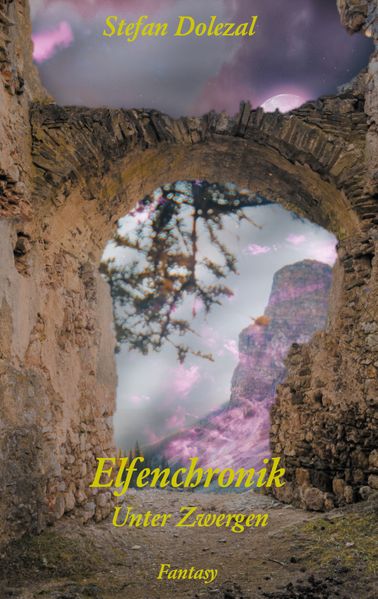 Cover von Elfenchronik