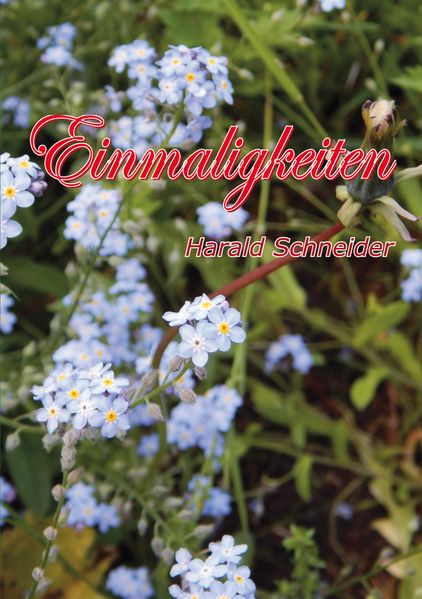 Cover von Einmaligkeiten