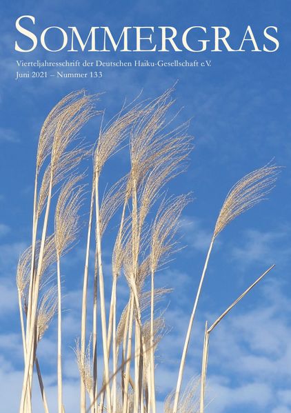 Cover von Sommergras 133