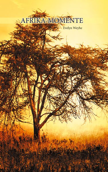 Cover von Afrika Momente