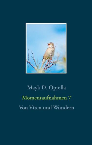 Cover von Momentaufnahmen 7