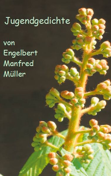 Cover von Jugendgedichte