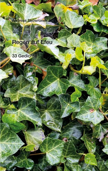 Cover von Regen auf Efeu
