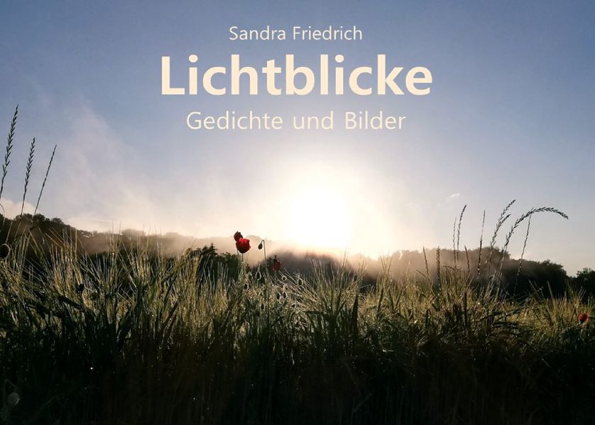Cover von Lichtblicke
