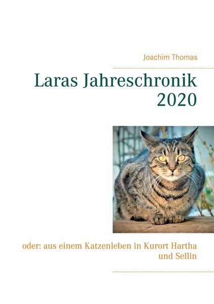 Cover von Laras Jahreschronik 2020