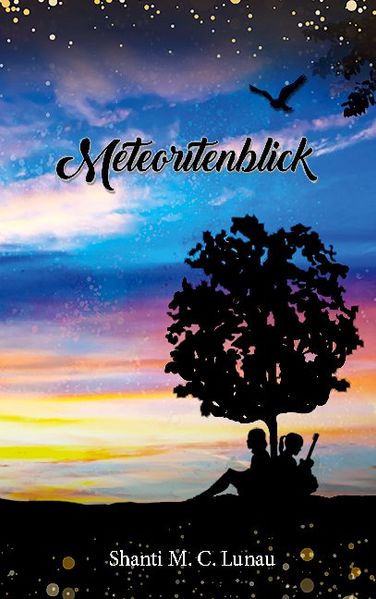 Cover von Meteoritenblick