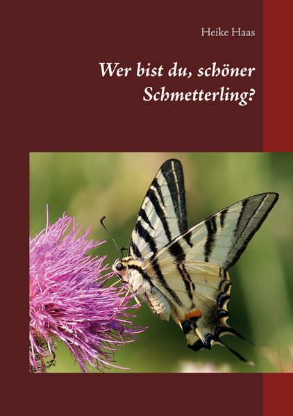 Cover von Wer bist du, schöner Schmetterling?