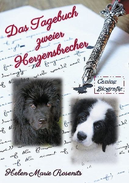 Cover von Das Tagebuch zweier Herzensbrecher