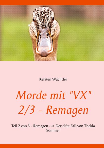 Cover von Morde mit „VX“ 2/3 – Remagen