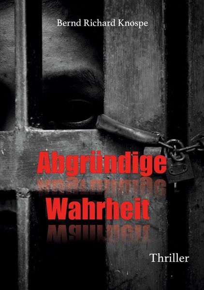 Cover von Abgründige Wahrheit