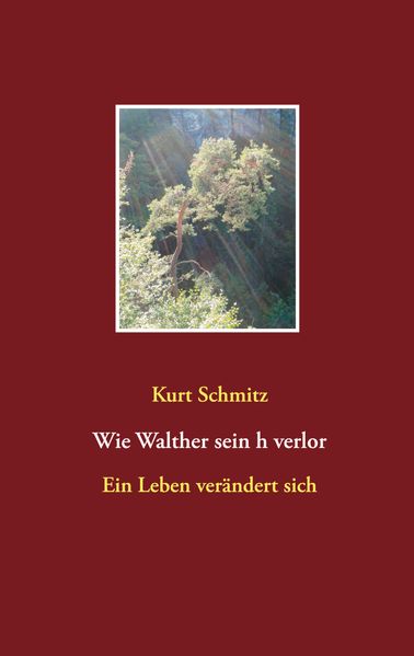 Cover von Wie Walther sein h verlor