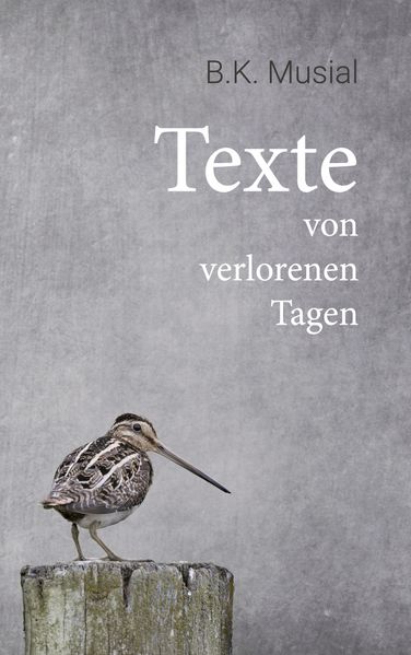 Cover von Texte von verlorenen Tagen