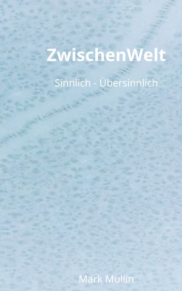 Cover von ZwischenWelt
