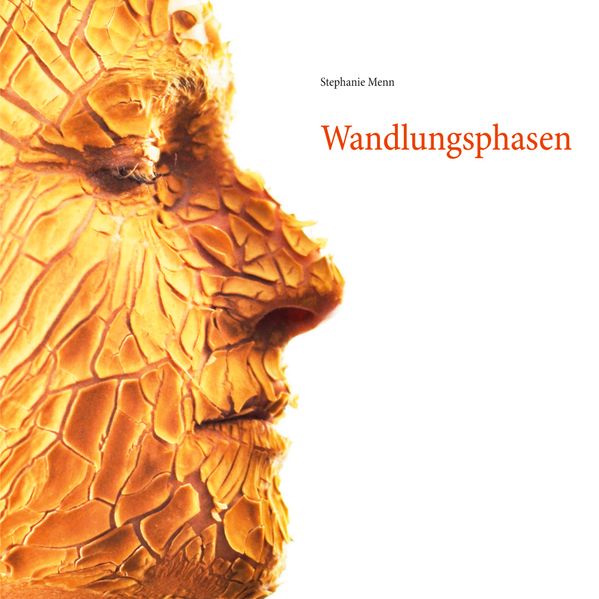 Cover von Wandlungsphasen