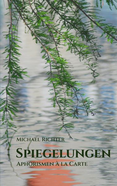 Cover von Spiegelungen