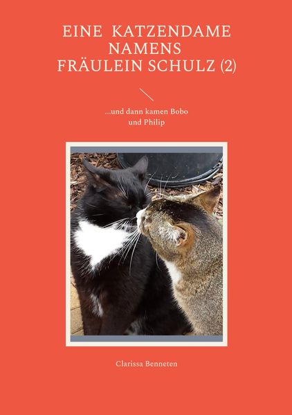 Cover von Eine Katzendame namens Fräulein Schulz (2)